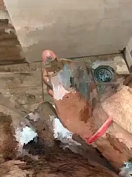 rags_pussylicker live sex cam