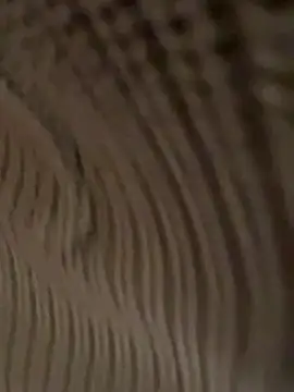 daaqnn's cam snapshot