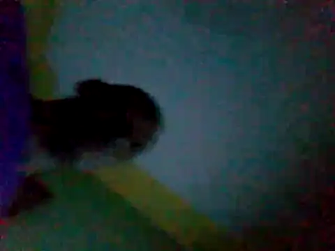 calme_odl1 live sex cam