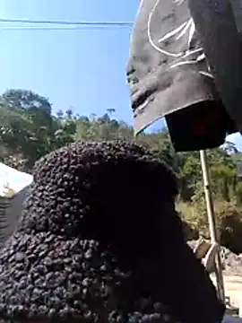 lusy-bae's cam snapshot