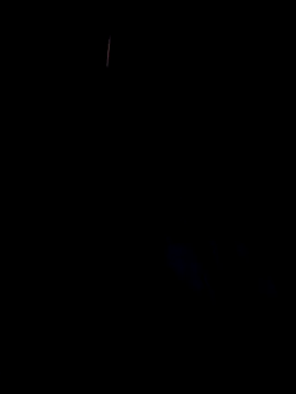 Monkey-117's cam snapshot