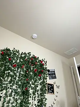 butterflybootyy's cam snapshot