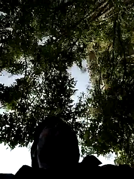 TomByron22 live sex cam