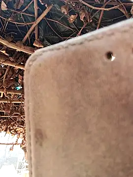 Sonia66w's cam snapshot