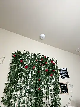 butterflybootyy live sex cam