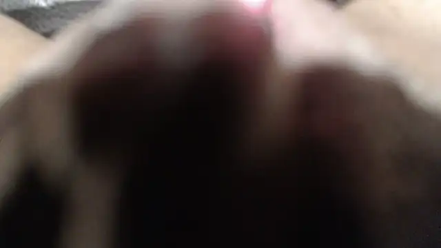 sexyjustin202 live sex cam