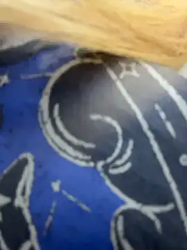 AmmyHot live sex cam