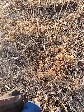 murokkk31 live sex cam