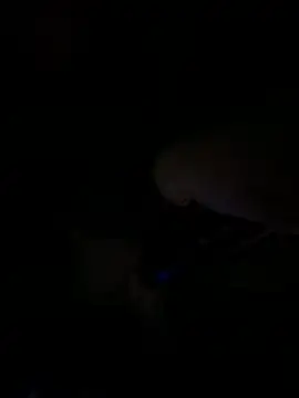 BearChubby300 live sex cam