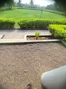 Desi_Horny_Boys live sex cam