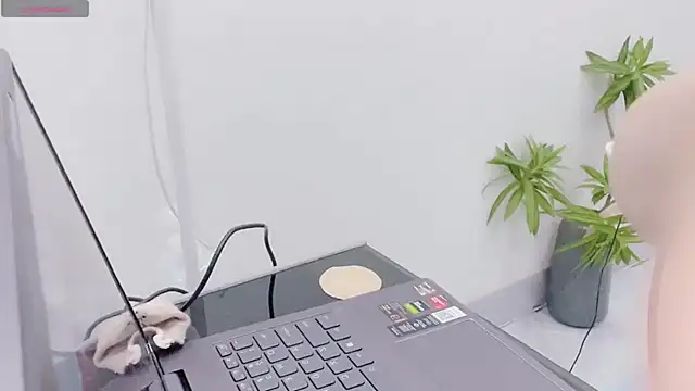 _ChuChe_ live sex cam