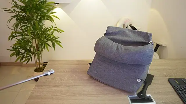 Scarlett_collins02 live sex cam