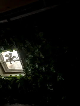 OdetteDelane live sex cam