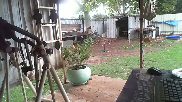 herbie010666 live sex cam