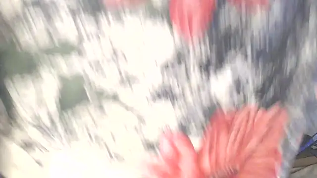 Ninna_bellah live sex cam