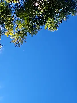 gordito_xx live sex cam