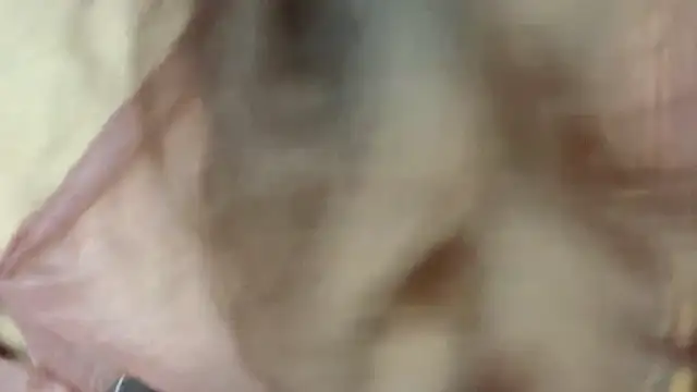 Z30966903S live sex cam