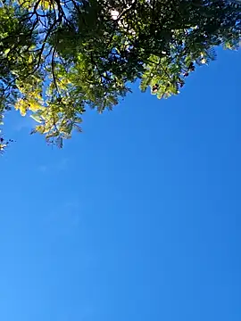 gordito_xx live sex cam