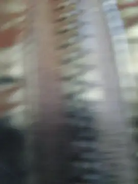 MILFBARBY live sex cam