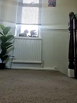 iang6348 live sex cam