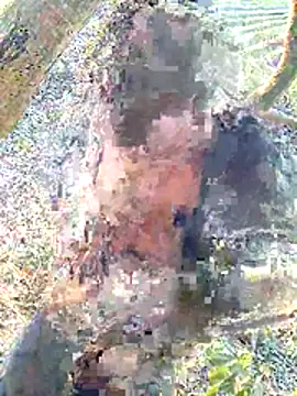 Jishm_ki_bhookh live sex cam