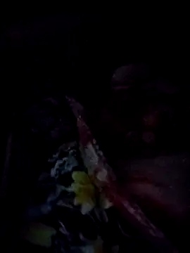 Hot_malika1 live sex cam