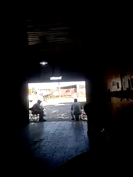 hecwil8 live sex cam