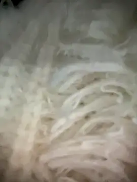 yourkeer live sex cam