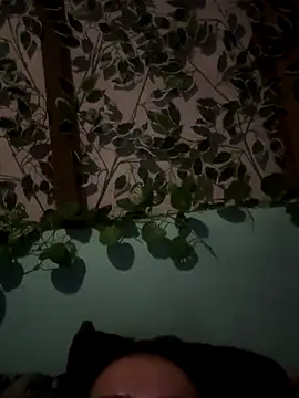 Manddeexx live sex cam