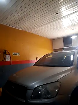 hecwil8 live sex cam