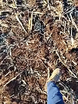 murokkk31 live sex cam