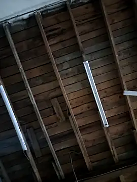 S-kt-et live sex cam