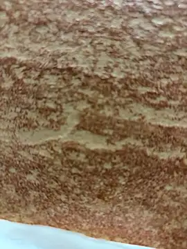 Foxfoxfox4 live sex cam