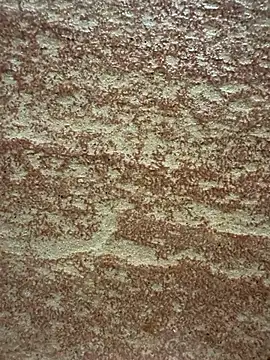 Foxfoxfox4 live sex cam