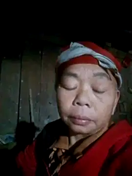 VangLe73 live sex cam