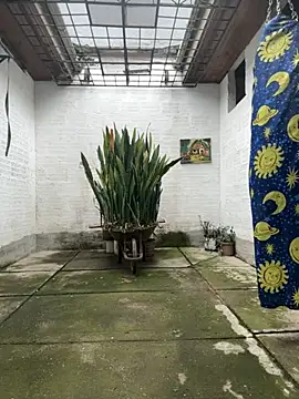 oliver_price1 live sex cam