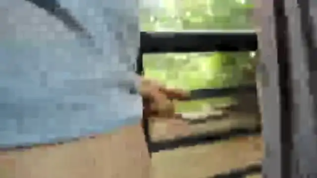 venusandzeus@xh live sex cam