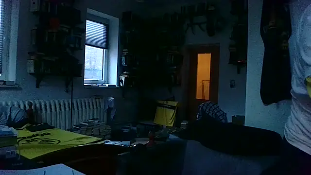 sunr1sa live sex cam