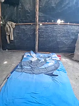 TNestorT live sex cam