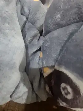 Boyshow88 live sex cam