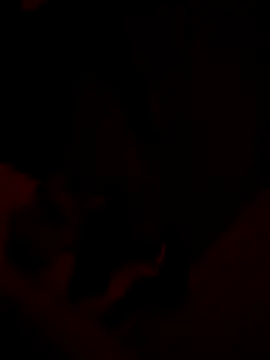 Ankitahot1993 live sex cam