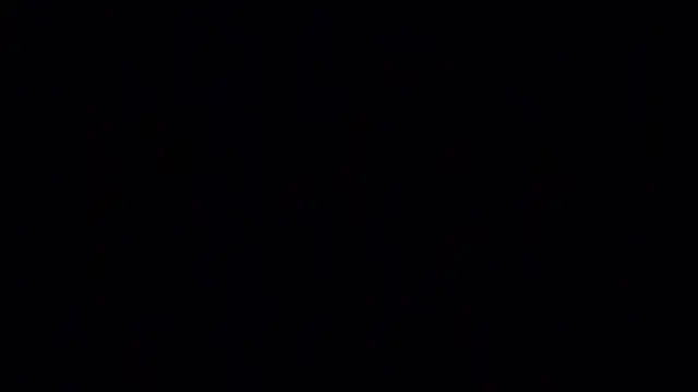 elogordo_ live sex cam