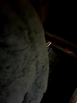 Nul-chal live sex cam