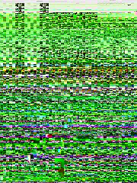 Hotty-Jannat live sex cam