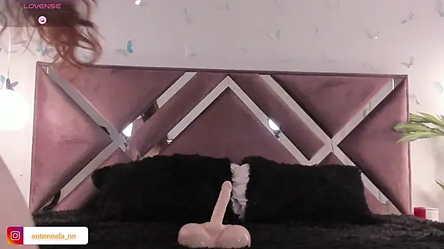 _Antonnela_ live sex cam