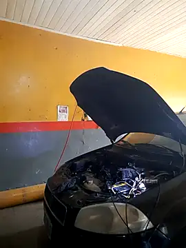 hecwil8 live sex cam