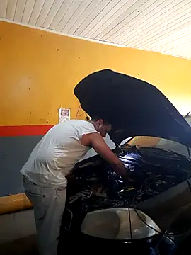 hecwil8 live sex cam