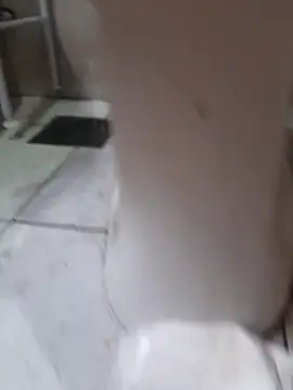 Facosaf live sex cam