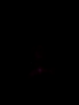 Bongaman696969 live sex cam