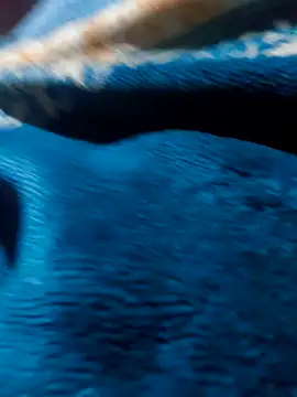 Spencer88596 live sex cam